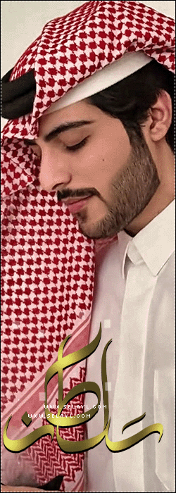 الصورة الرمزية sultan